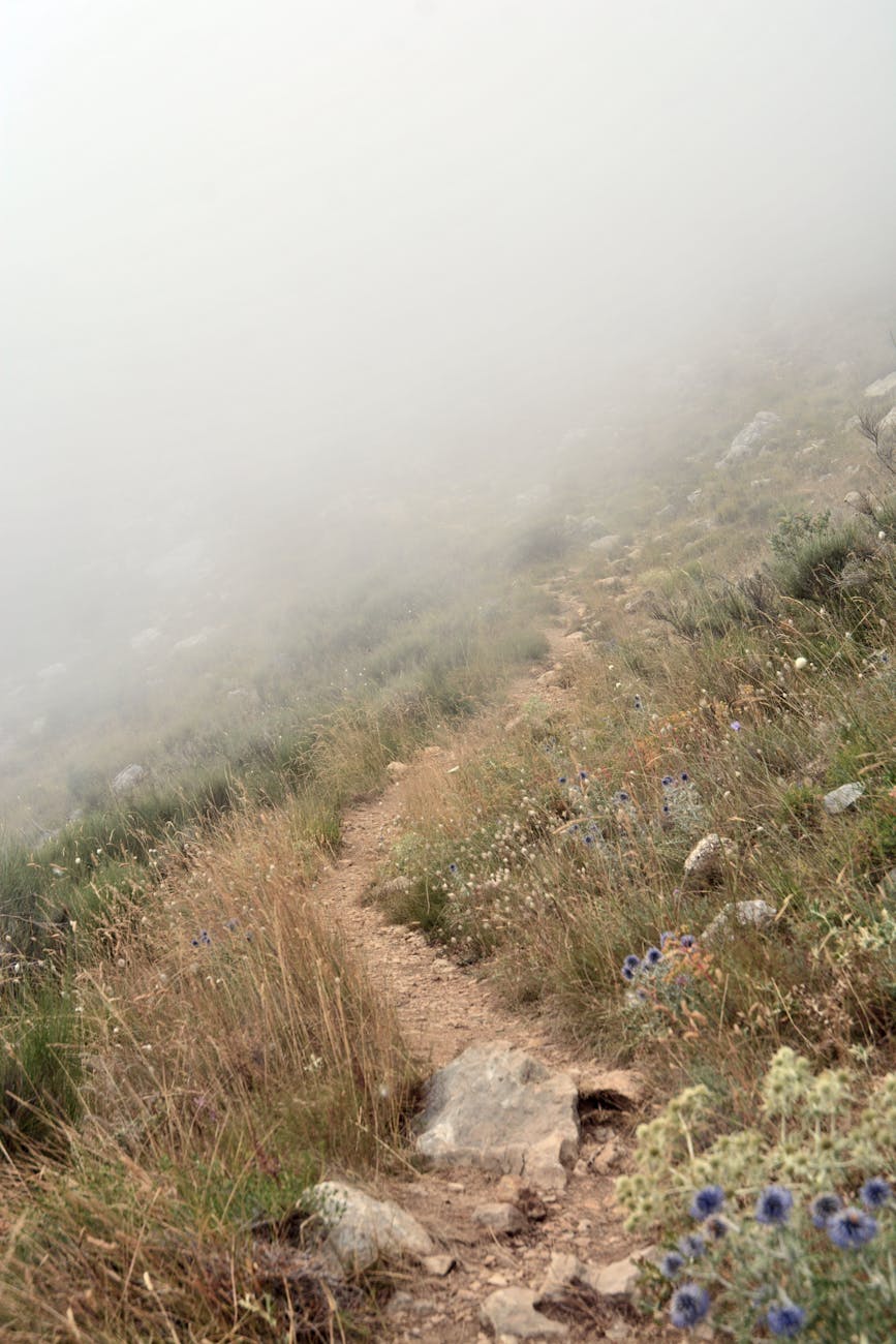 Recognising Manipulative Behaviour: My Story of Healing and&nbsp;Change